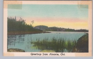 Mississippi River, Greetings From Almonte, Ontario, Vintage SDC Postcard #1