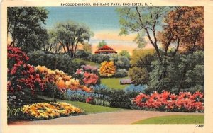 Rhododendrons in Bloom Rochester, New York