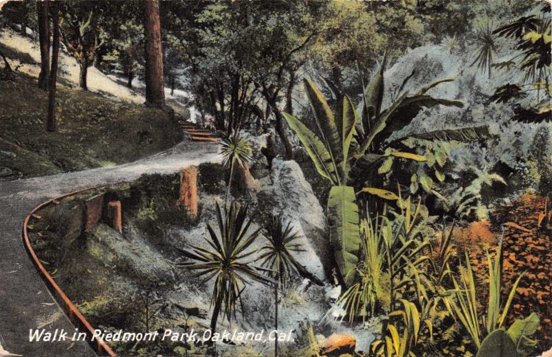 OAKLAND CALIFORNIA~ WALK IN PIEDMONT PARK~NEWMAN PUBL POSTCARD 1910s