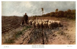Flock of Sheep, Shepard, Dog