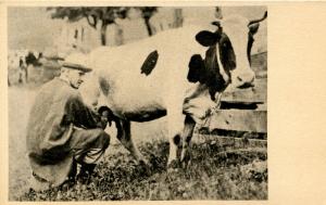 VT - Plymouth. President Coolidge Milking Cow  