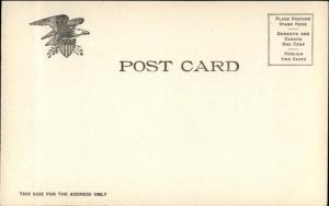 Cocoanut Trees Coconut - Florida c1905 UDB Postcard EXC COND