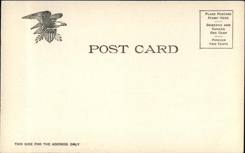 Cocoanut Trees Coconut - Florida c1905 UDB Postcard EXC COND