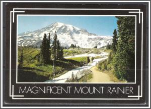 Washington, Mount Rainier Magnificent Trails - [WA-023X]