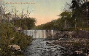 New York City~Bronx Park~The Dam~Rocks Along Stream~1910 Postcard