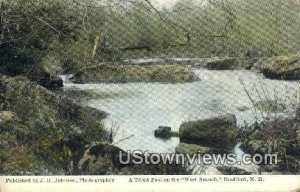 Trout Pool, West Branch - Bradford, New Hampshire NH  