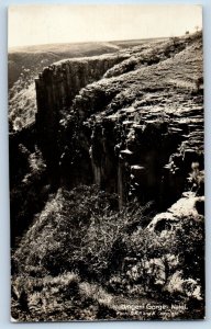 KwaZulu-Natal South Africa Postcard Umgeni Gorge c1910 Antique RPPC Photo