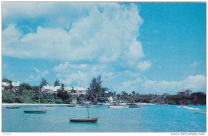 HAMILTON, Bermuda, PU-1950; Mangrove Bay