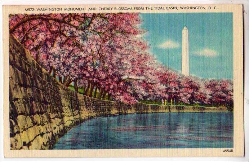 Washington Monument & Blossoms, Washington DC