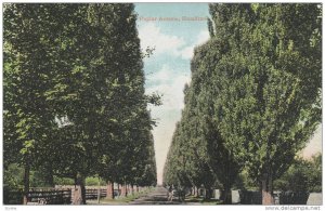 Scenic view, Poplar Avenue, Hamilton,Canada,00-10s