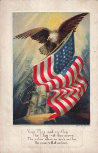 Vintage Patriotic American Flag Bald Eagle Postcard Flag Series No. 4