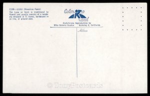 Luau - Hawaiian Feast