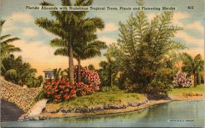postcard FL Palms - Florida Abounds with Numerous Tropical Trees, Plants