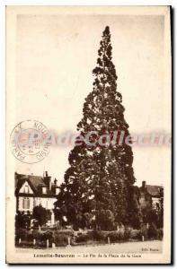 Postcard Old Lamotte Beuvron Le Pin Place de la Gare