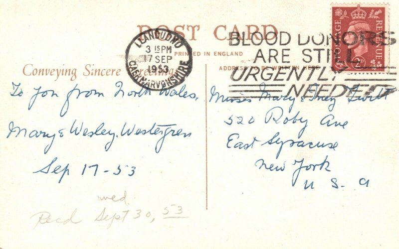 Vintage Postcard 1953 RPPC Waterloo Bridge BETTWS-Y-COED