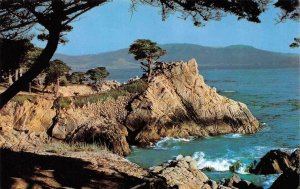 2~Postcards CA California 17 MILE DRIVE CYPRESS TREE~GHOST TREE SIGN Monterey Co