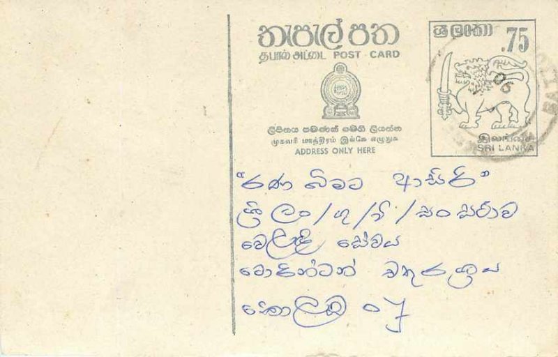 Entier Postal Stationery Postal Sri Lanka Ceylon Lion