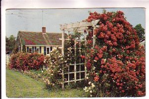 Cottage and Roses, Cape Cod, Massachusetts, Used 1965