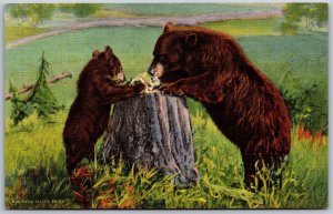 Vtg Mother Bear & Cub Learning Table Manners Rockies 1930s Linen Postcard