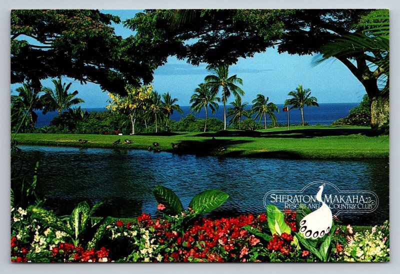 Sheraton Makaha Resort And Country Club Waianae Hawaii Unposted Postcard