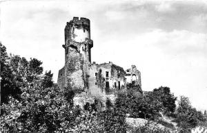 BR7125 L Auvergne Chateau de Tournoel vu a sud   france