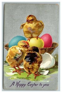 Vintage 1909 Tuck's Easter Postcard Silver Face Colored Eggs Cute Chicks NICE
