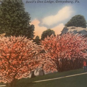 Devil's Den Ledge, Gettysburg PA USA, Vintage Linen Postcard Pennsylvania