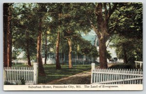 Pocomoke City MD~Suburban Home Surrounded by White Picket Fence~Horse Buggy~1910
