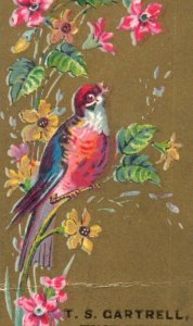 1880s Bookmark T.S. Gartrell Washington D.C. Fine Shoes Colorful Bird F124