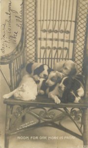 1906 Rotograph RPPC B-1285 Cute Puppy Dogs in Wicker Chair, Room for one More