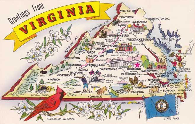 Greetings From Virginia - Map - State Bird Cardinal - Flag