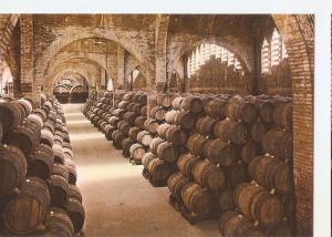 Postal 045643 : cavas Codorniu. Una bodega. Monumento Nacional