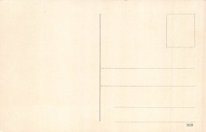 L324 Germany Nuernberg Panorama Tram vintage postcard