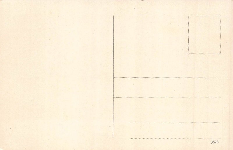 L324 Germany Nuernberg Panorama Tram vintage postcard