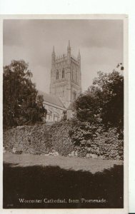 Worcestershire Postcard - Worcester Cathedral from Promenade - Ref 12024A