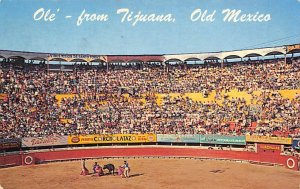 Tia Juana, Mexico, Tarjeta Postal, Bullfighting 1964 