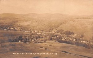 Birds Eye View Greenwood, New York NY Postcard