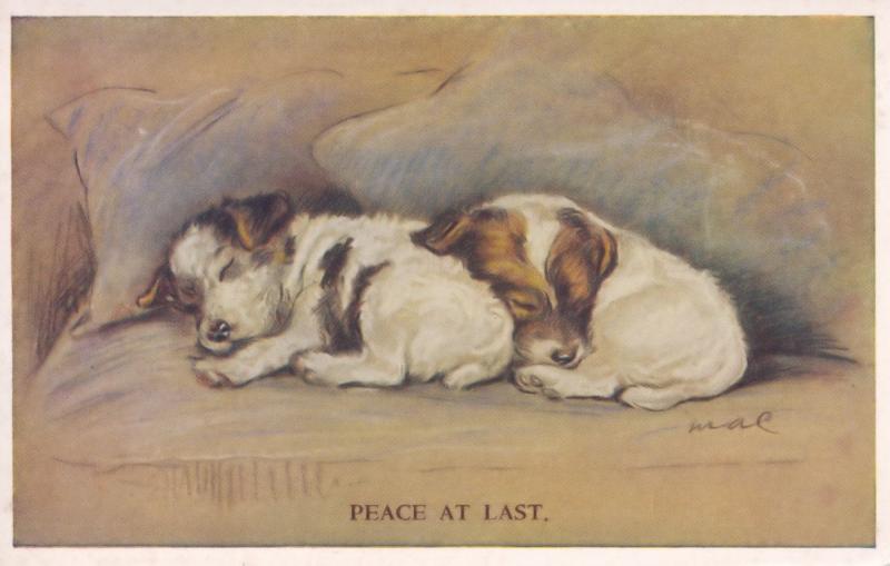 Peace At Last Tailwagger Dog Valentines Vintage Dogs Postcard