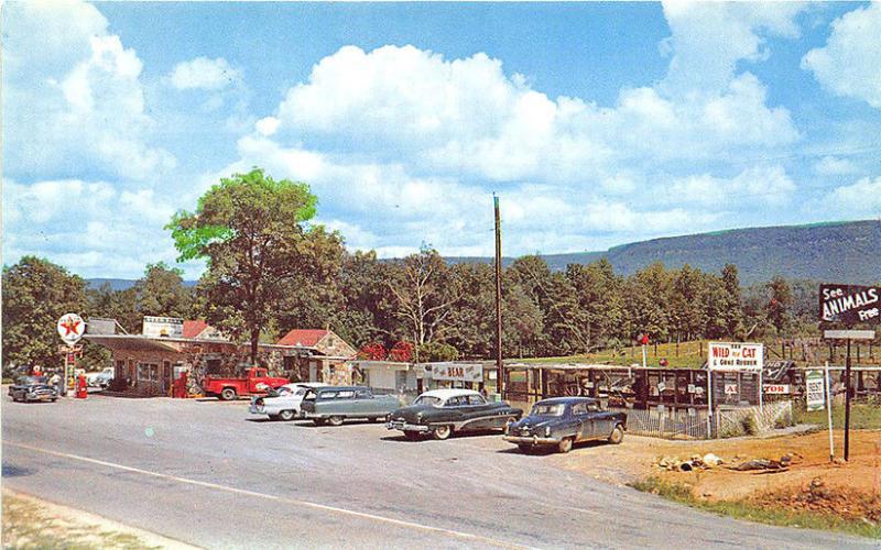 Deer Park GA Roadside Attractions Texaco Gas Station Old Cars Postcard