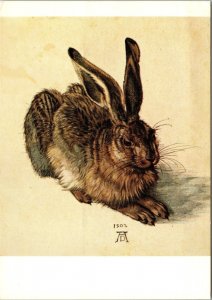 The Hare Le lievre 1502 by Durer, Albertina Vienna Postcard UNP Chrome