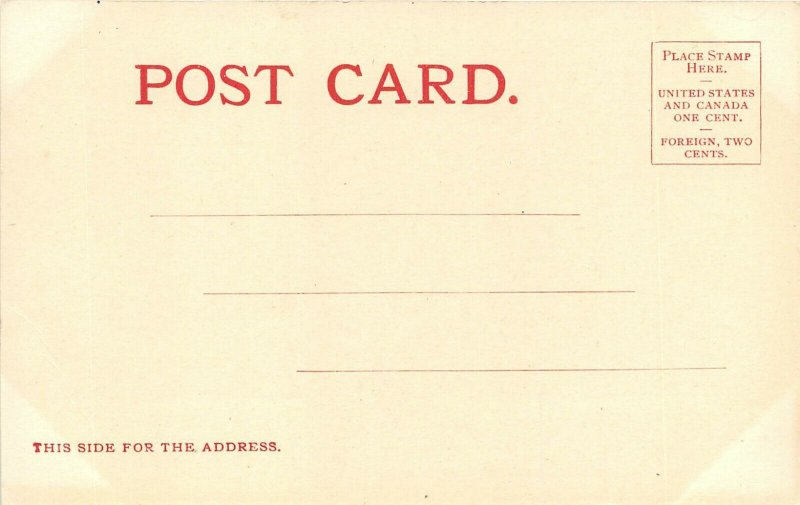 St. Paul Minnesota c1905 Postcard Floral Gates Ajar Como Park