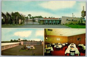 Vtg Florida FL Mount Dora Motor Lodge Motel 1960s View Postcard