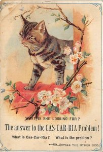 Approx. Size: 3 x 4.5 Cas-Car-Ria  Cat  Late 1800's Tradecard Non  
