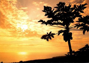 Hawaii Big Island Beautiful Sunset On The South Kona Coast