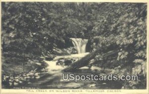 Fall Creek, Wilson River - Tillamook, Oregon OR  