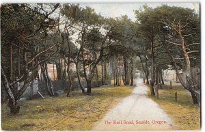 The Shell Road, Seaside, Oregon 1910s JK Gill Co. Vintage Postcard