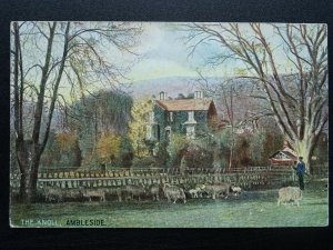 Cumbria The Lakes AMBLESIDE The Knoll c1906 Postcard by S. Hildesheimer & Co.