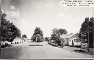 Postcard Tahquamenon Cabins in Newberry, Michigan