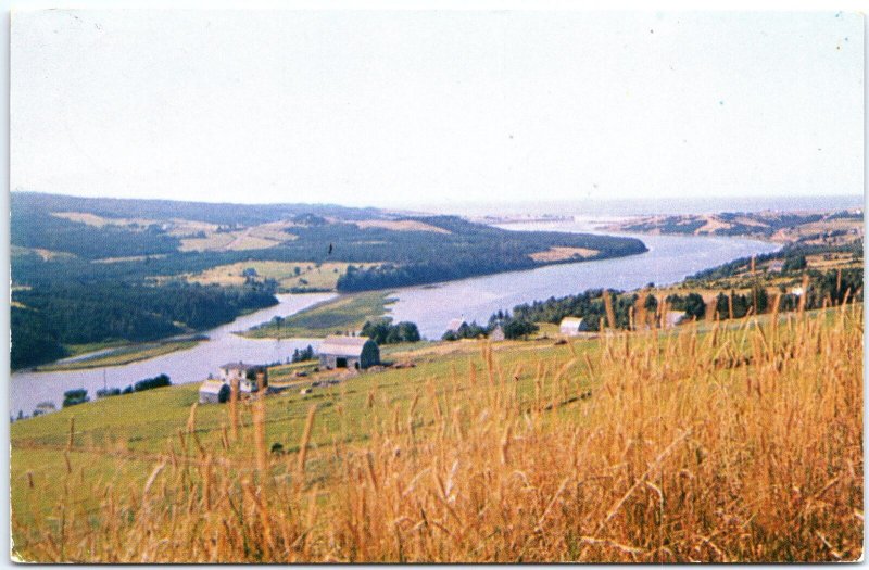 VINTAGE POSTCARD THE MARGAREE RIVER AT MARGAREE HARBOR CAPE BRETON NOVA SCOTIA