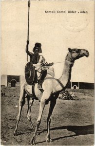 PC ADEN SOMALI CAMEL RIDER ETHNIC TYPES YEMEN (a31921)